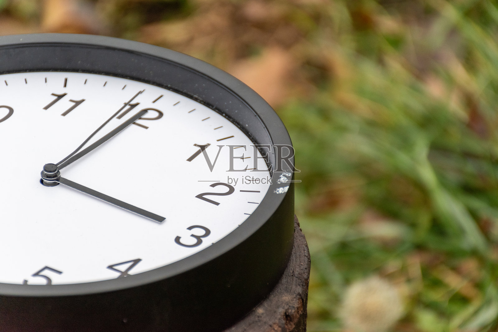 夏令时照片摄影图片