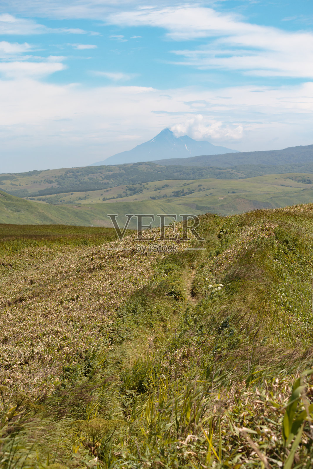夏季的利尻岛绿草如茵的徒步小径照片摄影图片