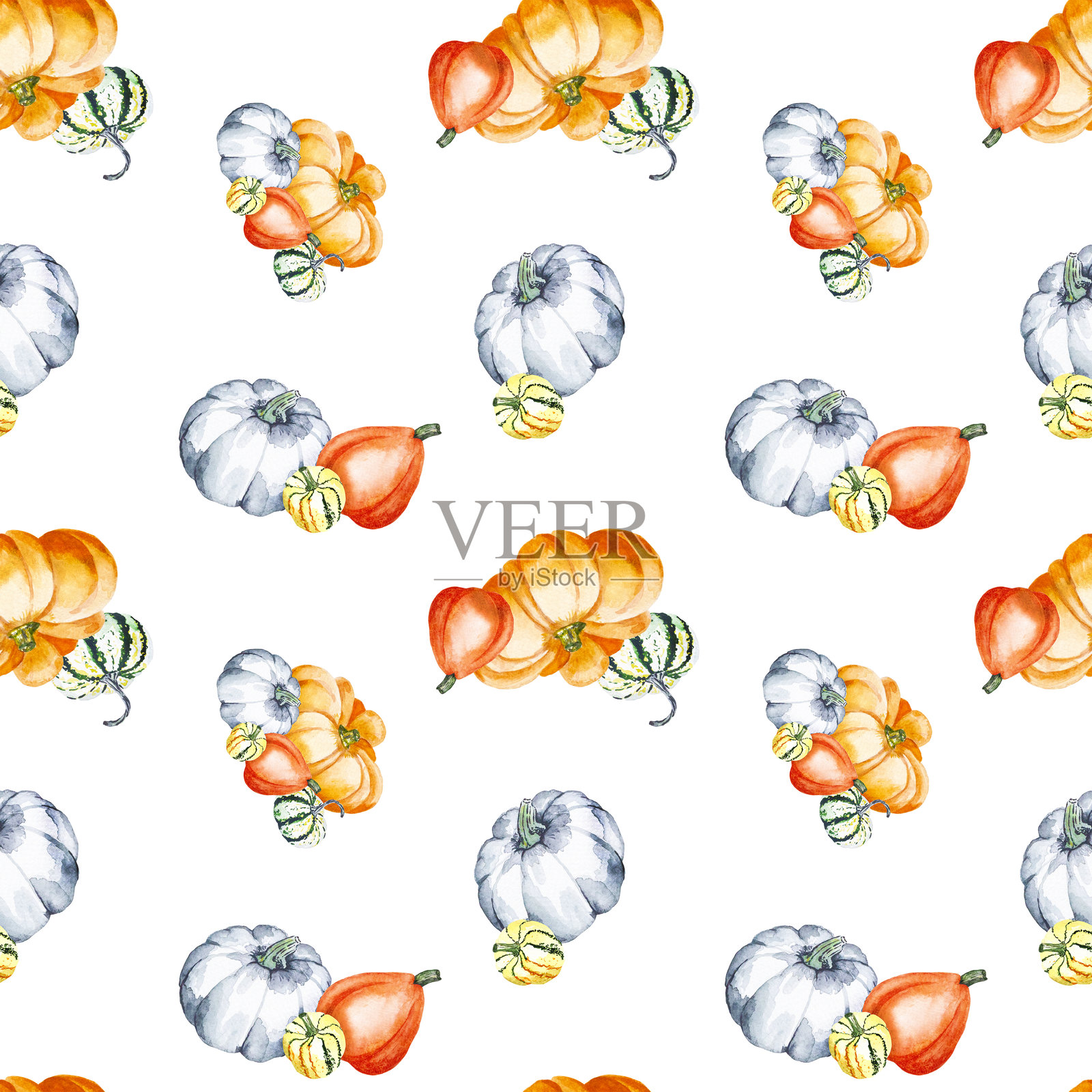 南瓜。明亮南瓜的水彩画。白色背景上的无缝蔬菜图案。适合您设计的植物插图。插画图片素材