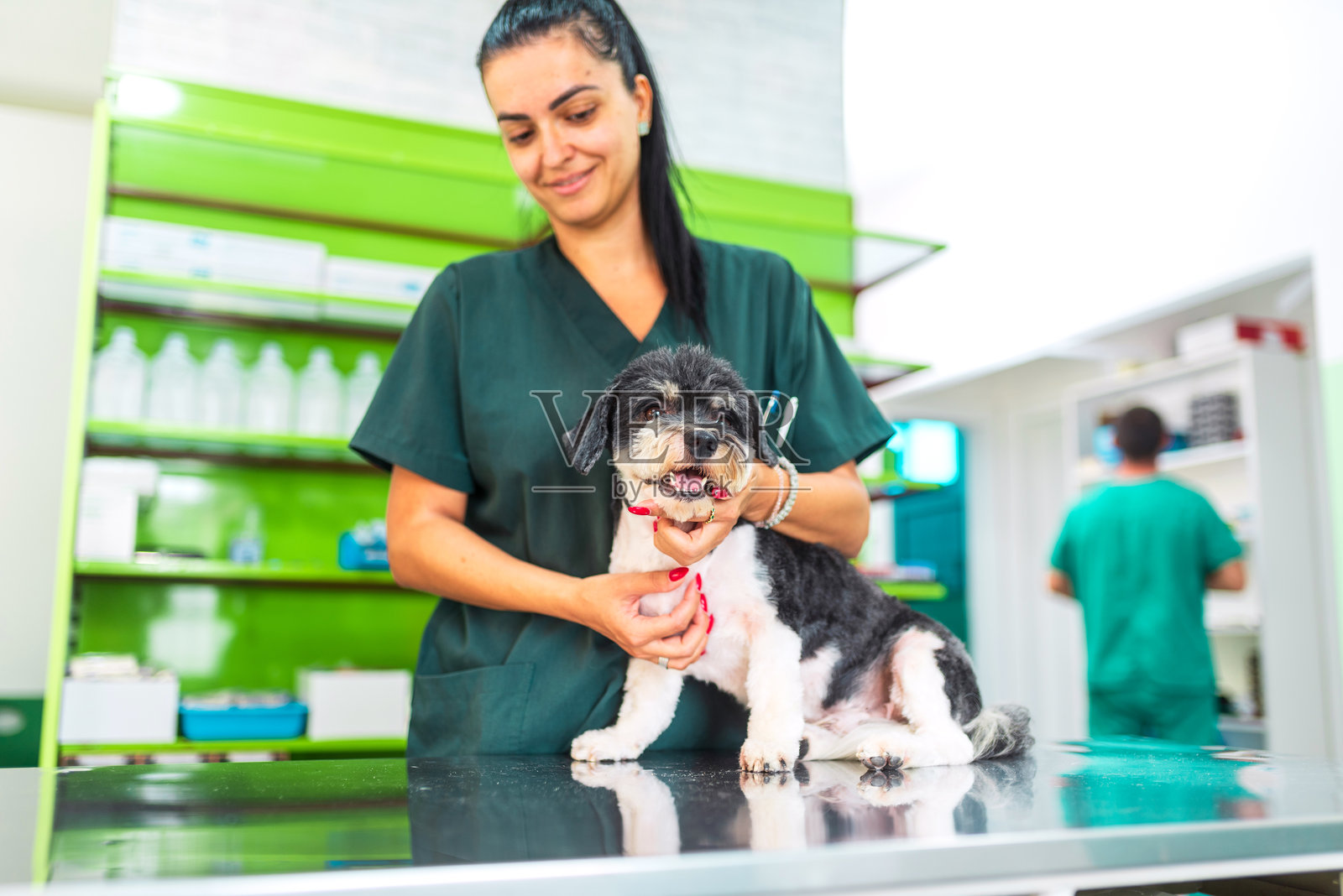 兽医在诊所检查一只快乐的狗狗照片摄影图片