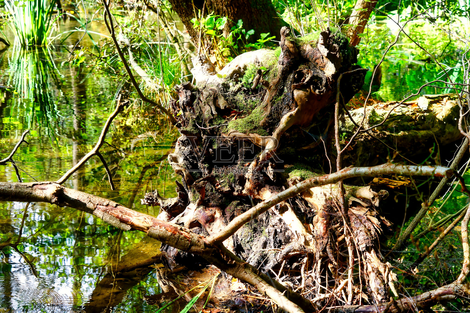 在巴伐利亚的乌尔姆河岸边徒步旅行照片摄影图片