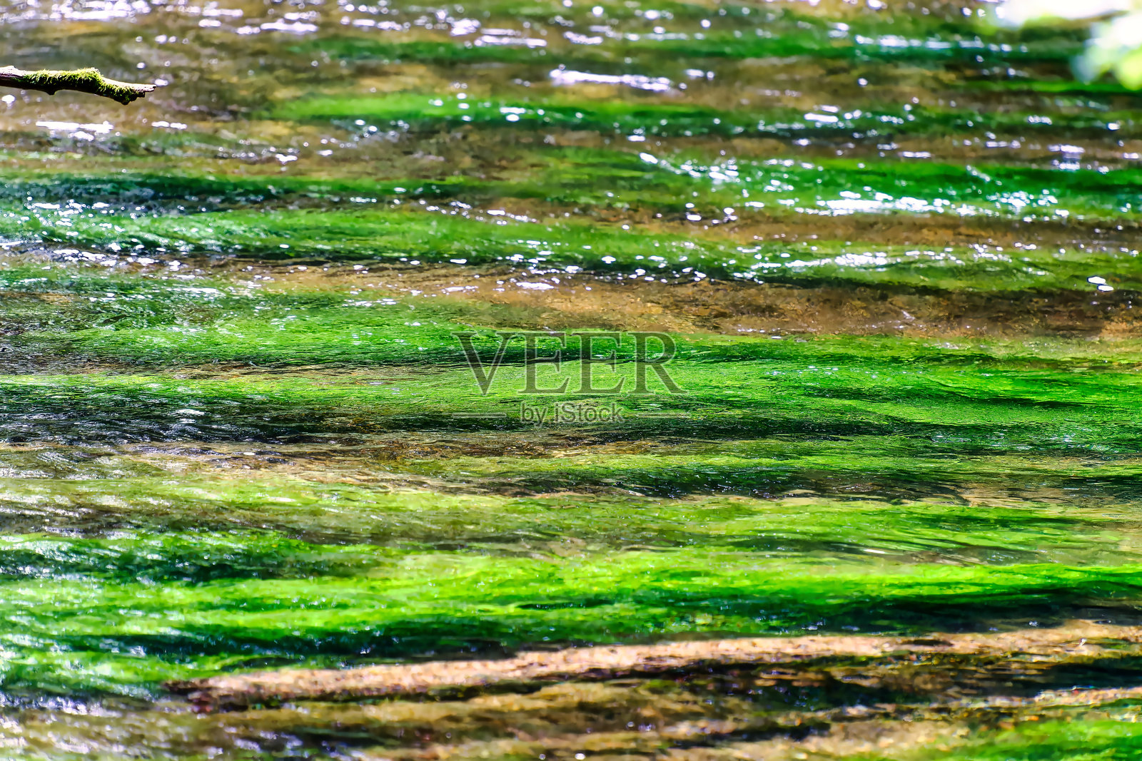 在巴伐利亚的乌尔姆河岸边徒步旅行照片摄影图片