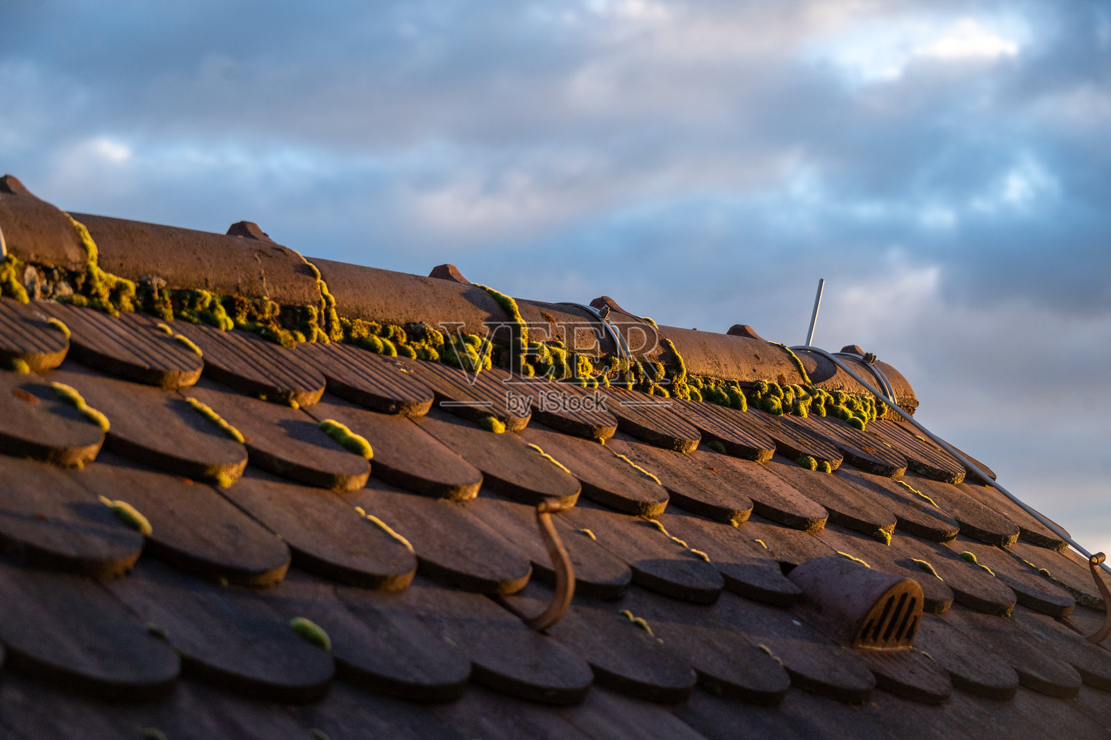 覆盖着苔藓的屋顶特写照片摄影图片