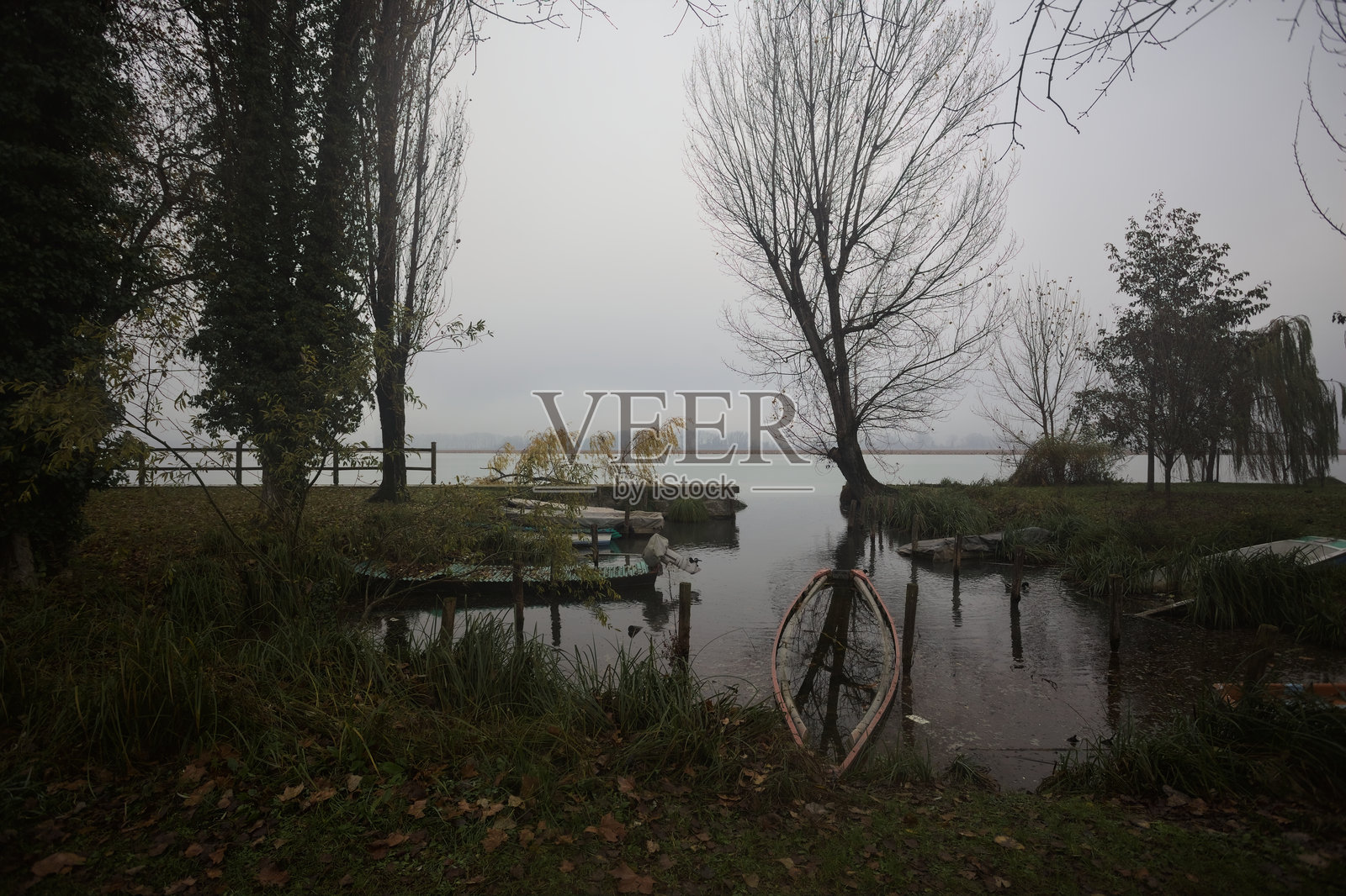 船只在公园避风港停靠照片摄影图片