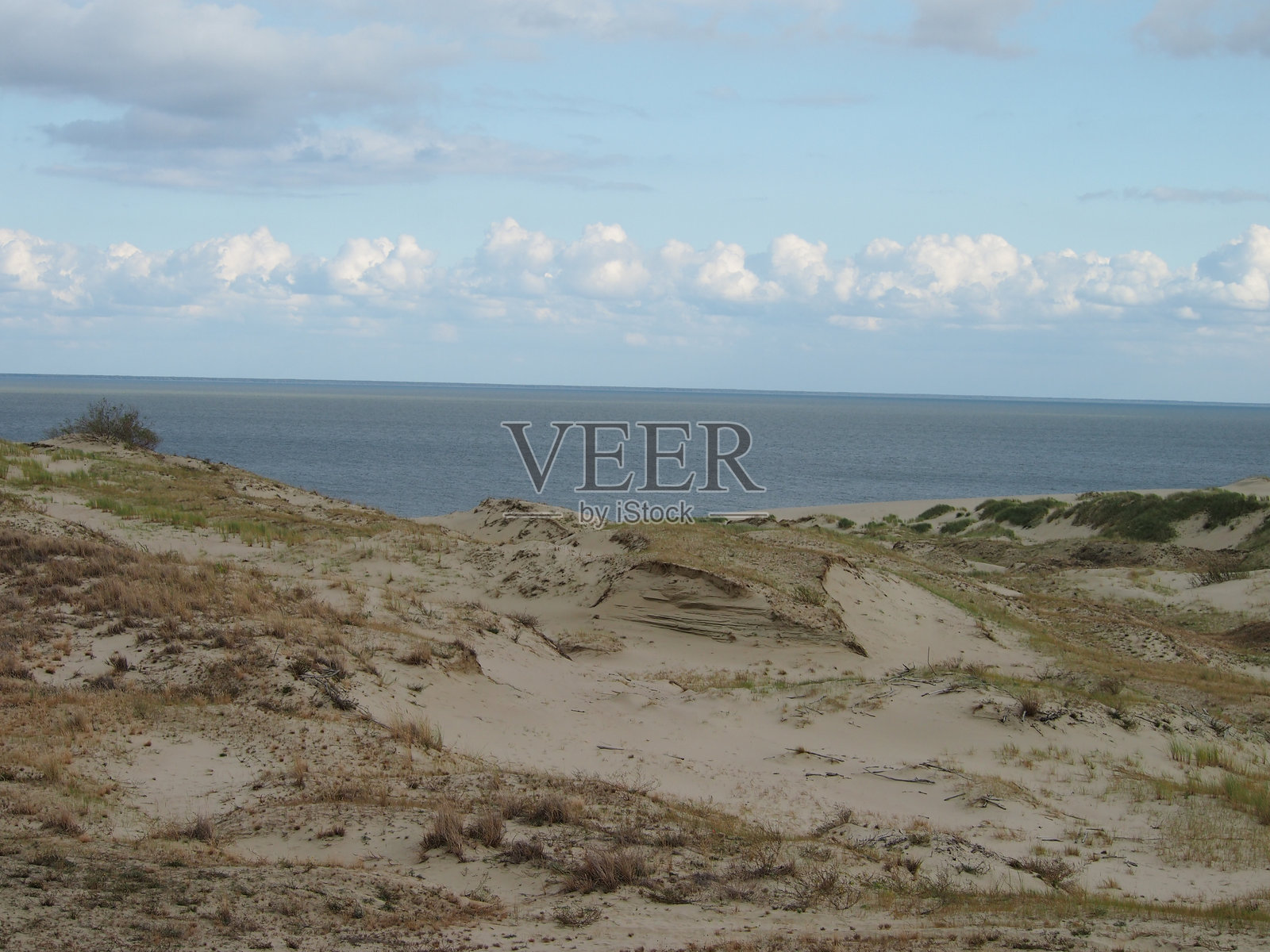 波罗的海沙丘照片摄影图片