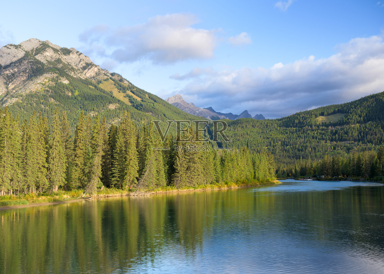 班夫国家公园的博河照片摄影图片