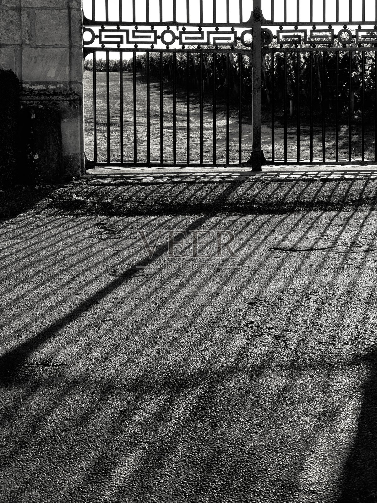 法国的圣埃美隆葡萄酒产区照片摄影图片