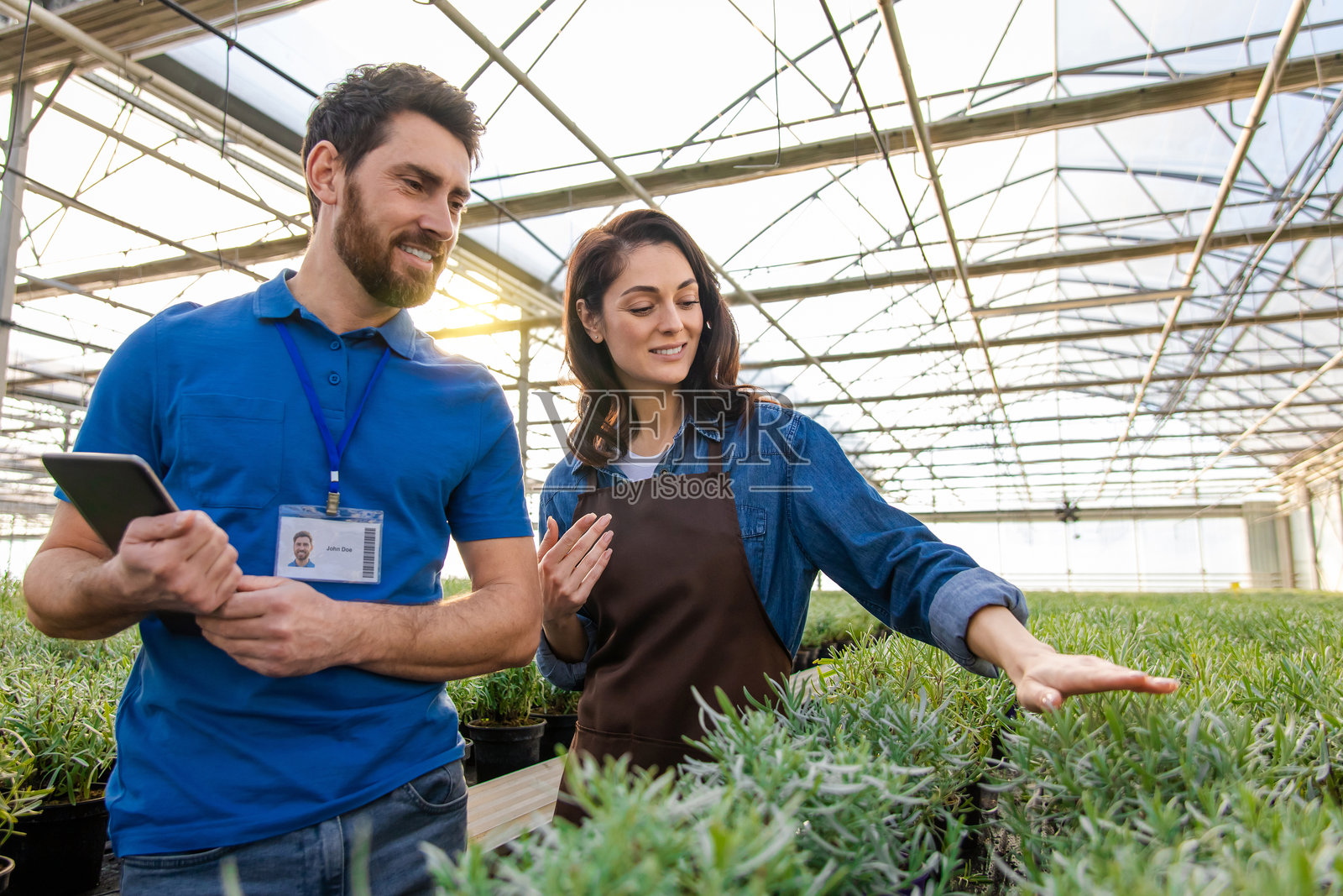 两位同事在温室中探索植物，显得很投入照片摄影图片