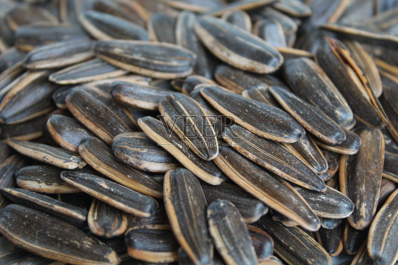 带条纹外壳的葵花籽。背景为白色。照片摄影图片