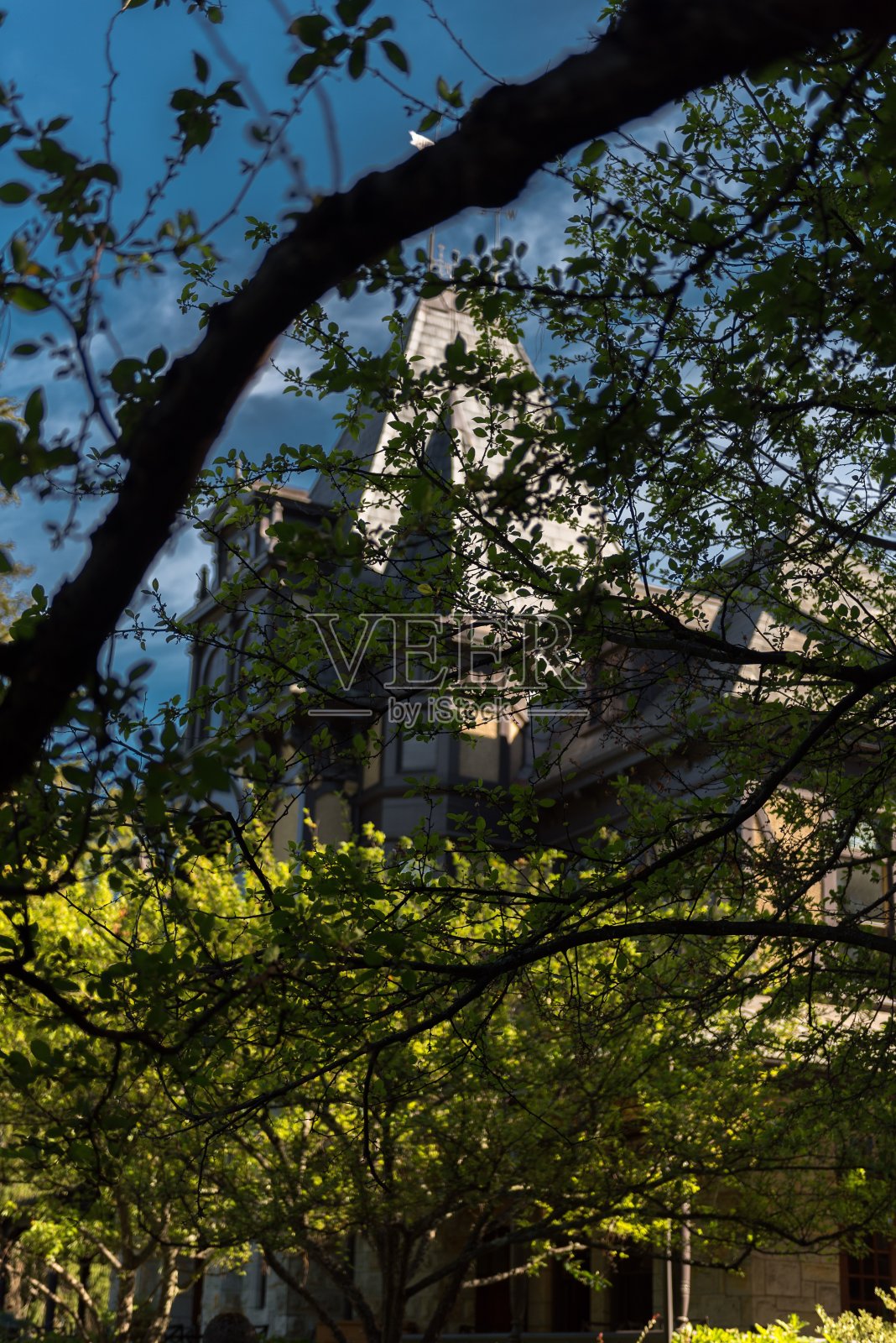 一座部分被浓密树叶遮挡的塔楼建筑照片摄影图片