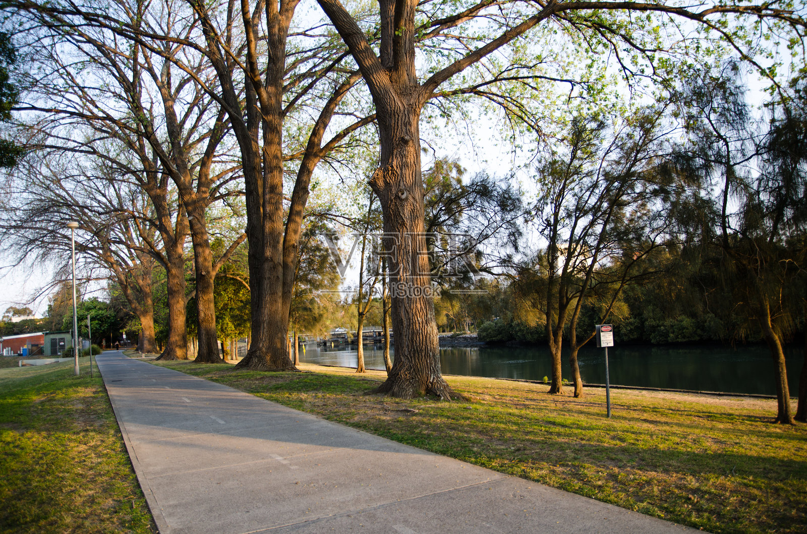 美丽的公园，阳光下的大树和自行车道，温暖的夕阳时光。照片摄影图片