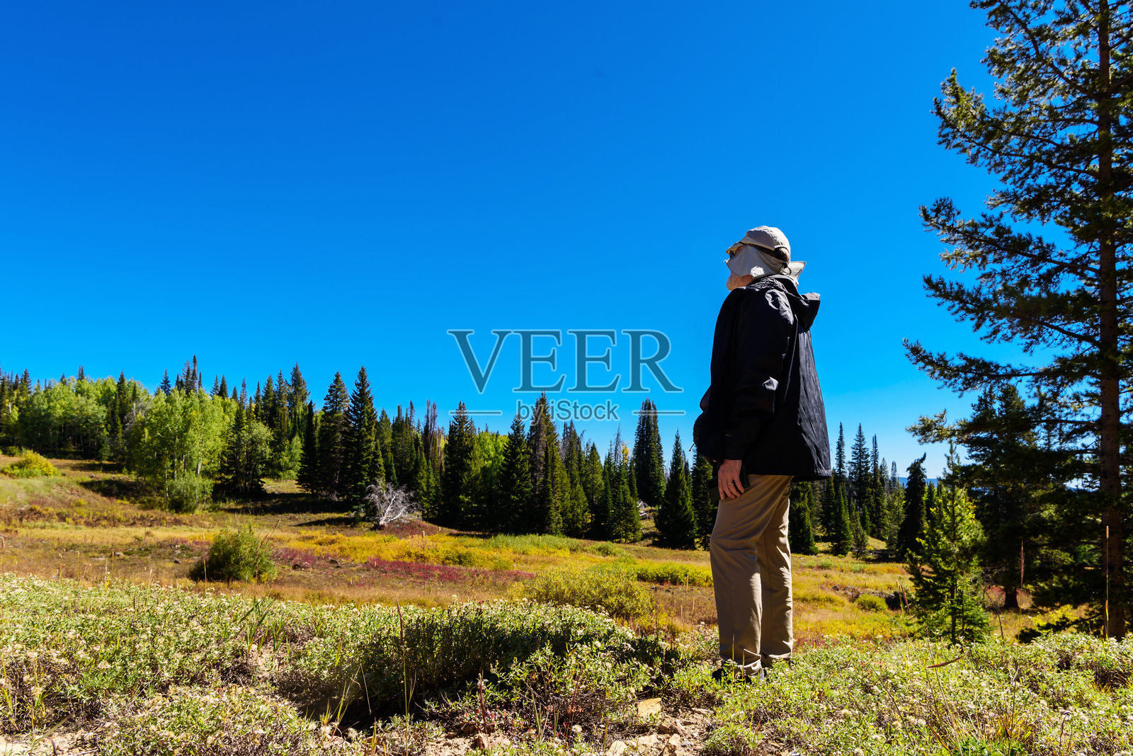 蓝天的旅行欲望：一位徒步旅行者在斯廷博特温泉享受日间远足照片摄影图片