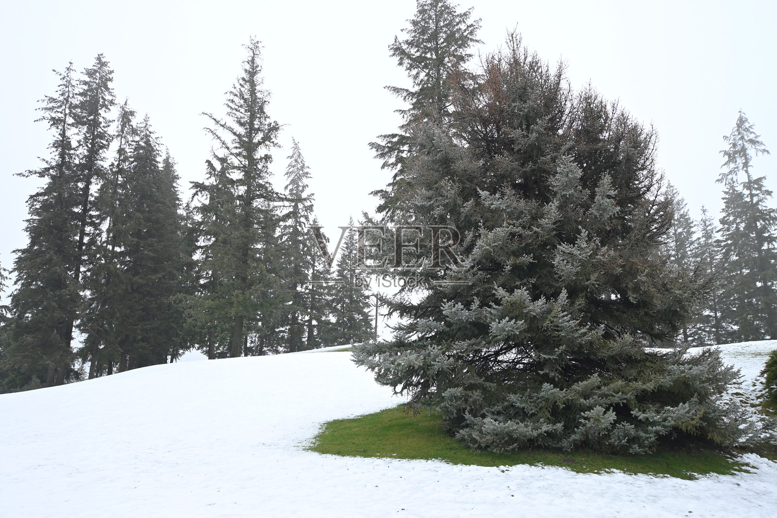 雾中的风景照片摄影图片