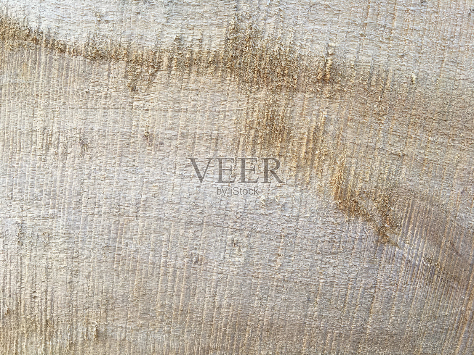 树木切割的特写镜头照片摄影图片