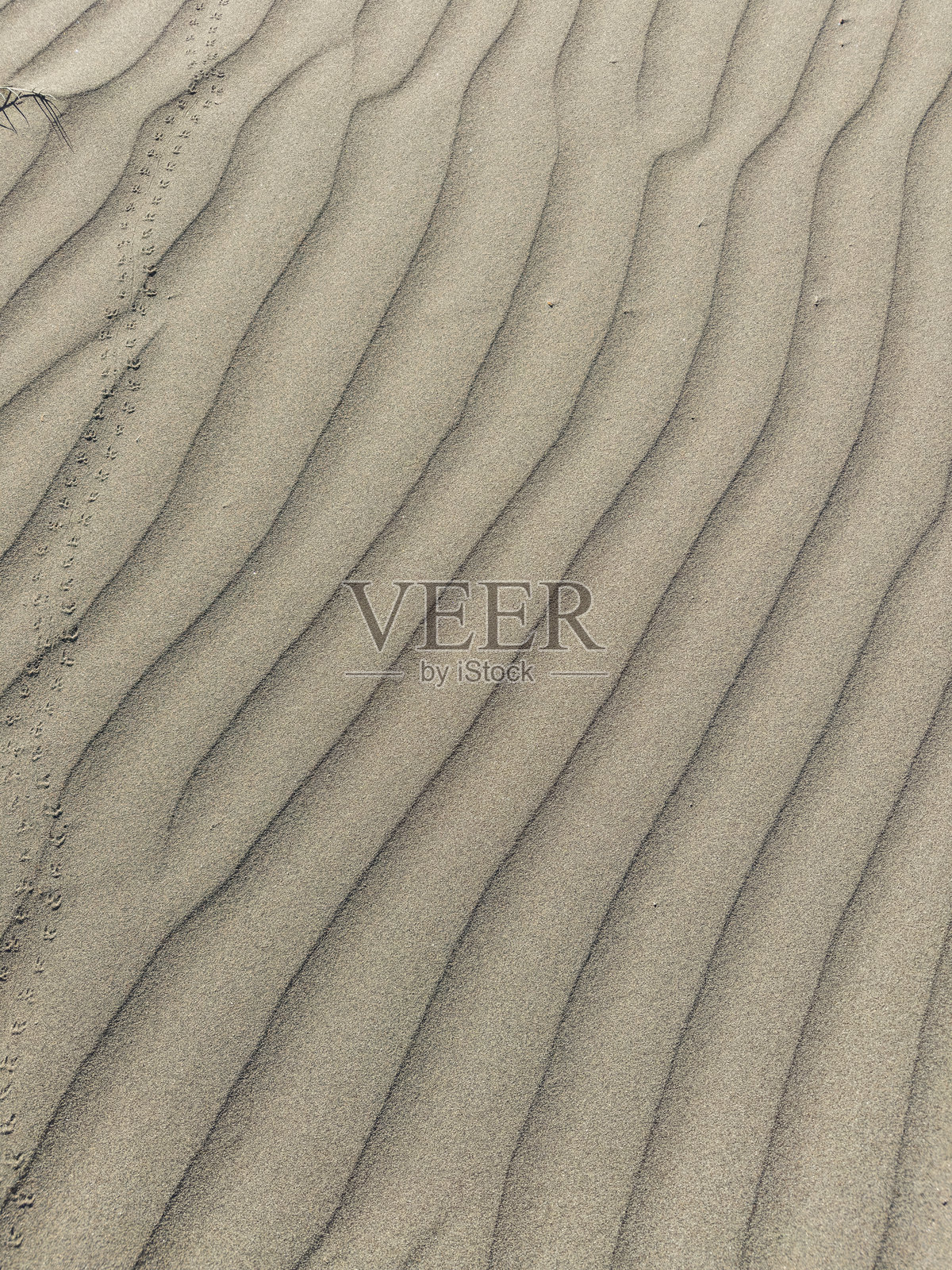 塞浦路斯的阿克罗提里沙丘照片摄影图片