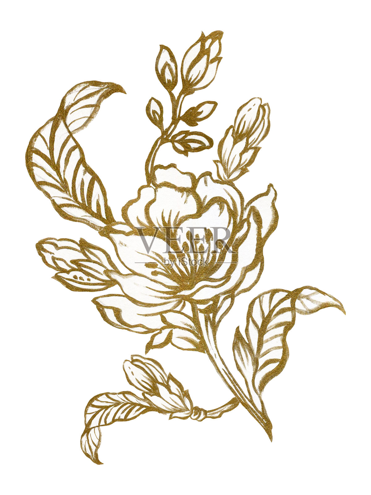 水彩插图 植物叶子系列 樱花 东方叶子 野生、花园和抽象叶子组合 金色手绘插画图片素材