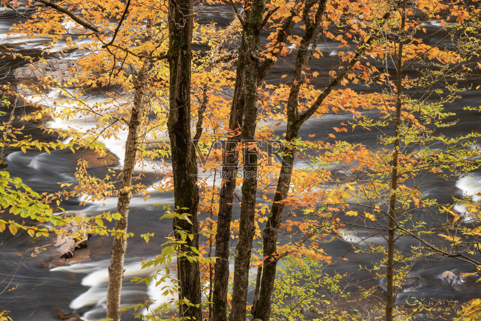 秋天的风景河流照片摄影图片