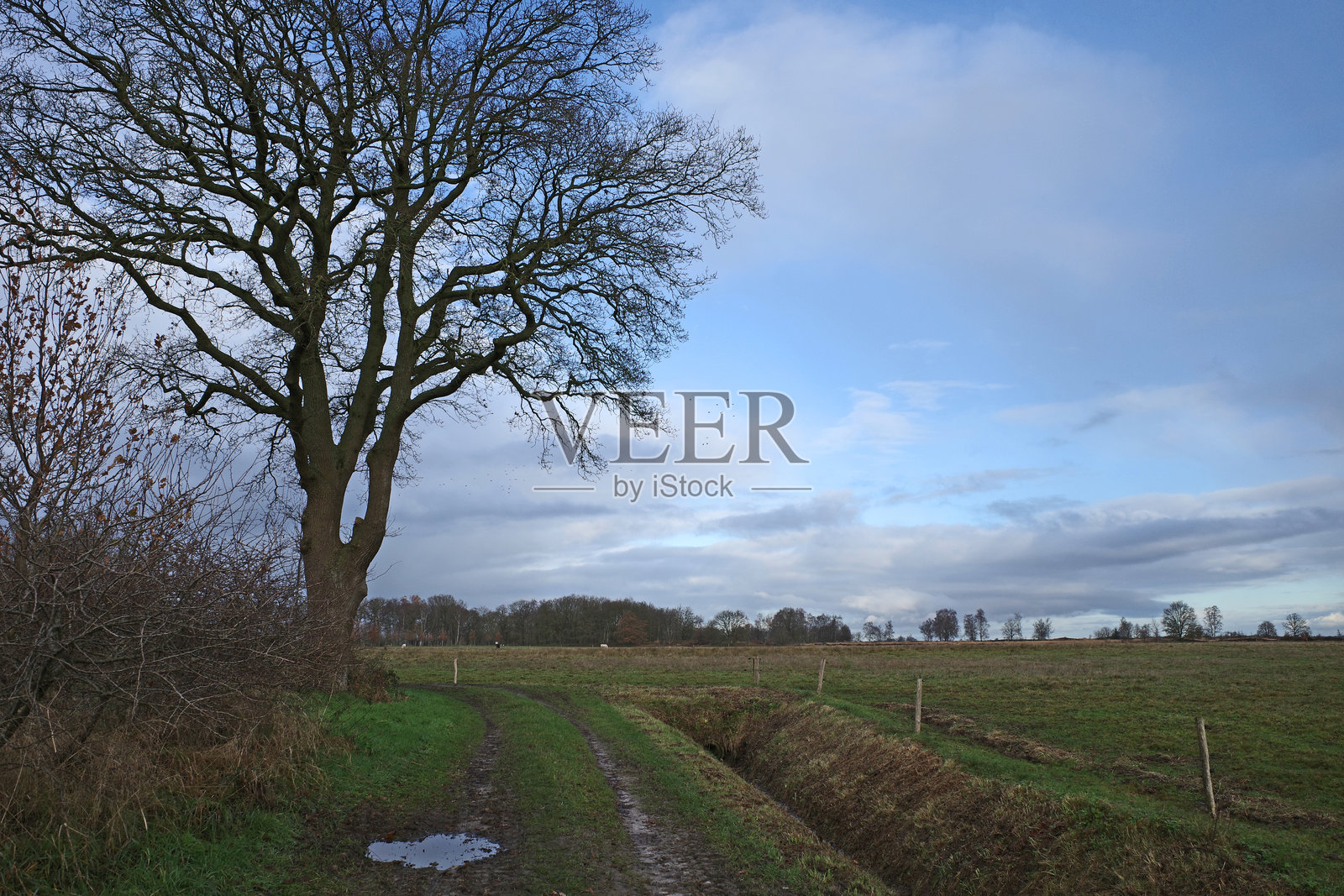 德伦特AA国家公园的小径照片摄影图片