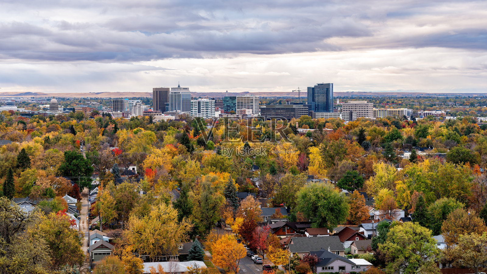 秋天的树木与爱达荷州博伊西的城市天际线照片摄影图片