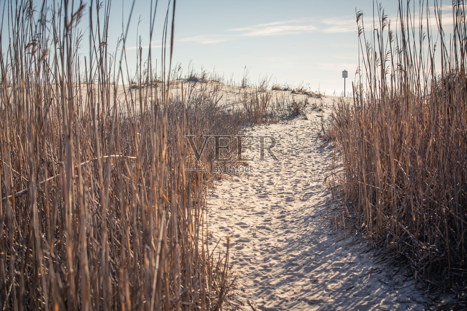 沙丘间的小径照片摄影图片