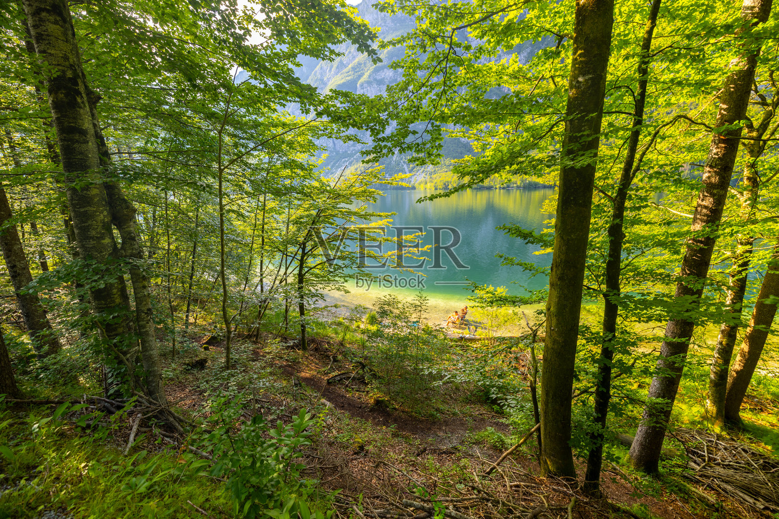 湖边的宁静与郁郁葱葱的绿意照片摄影图片