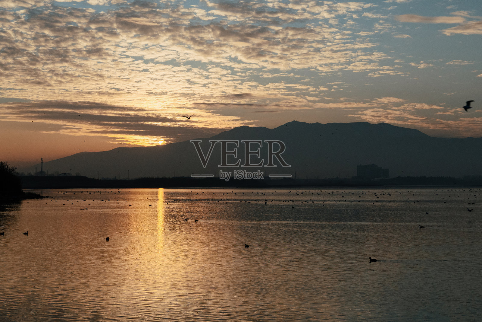 日出之 bliss：宁静的时刻照片摄影图片