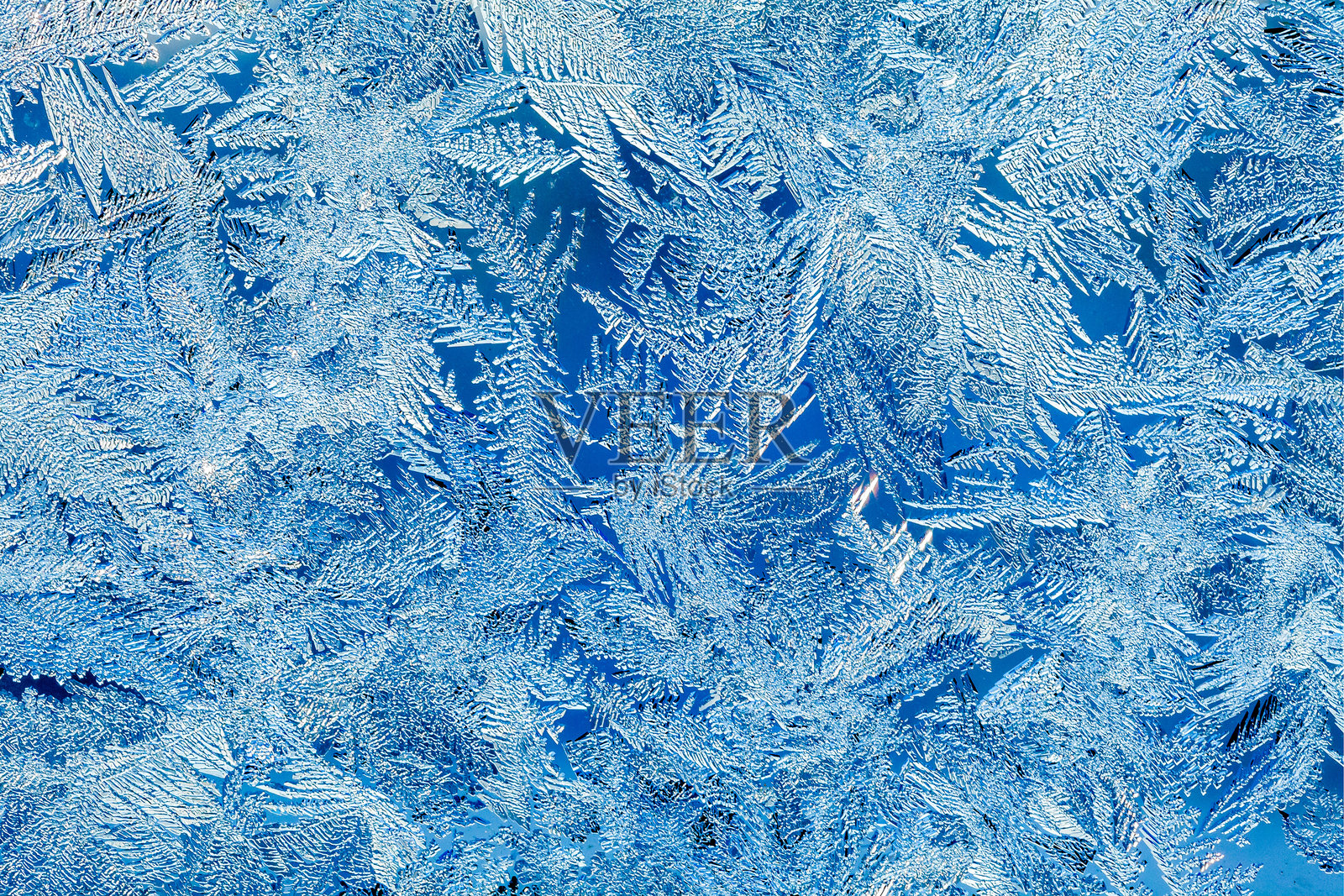 冬天窗户上的霜照片摄影图片