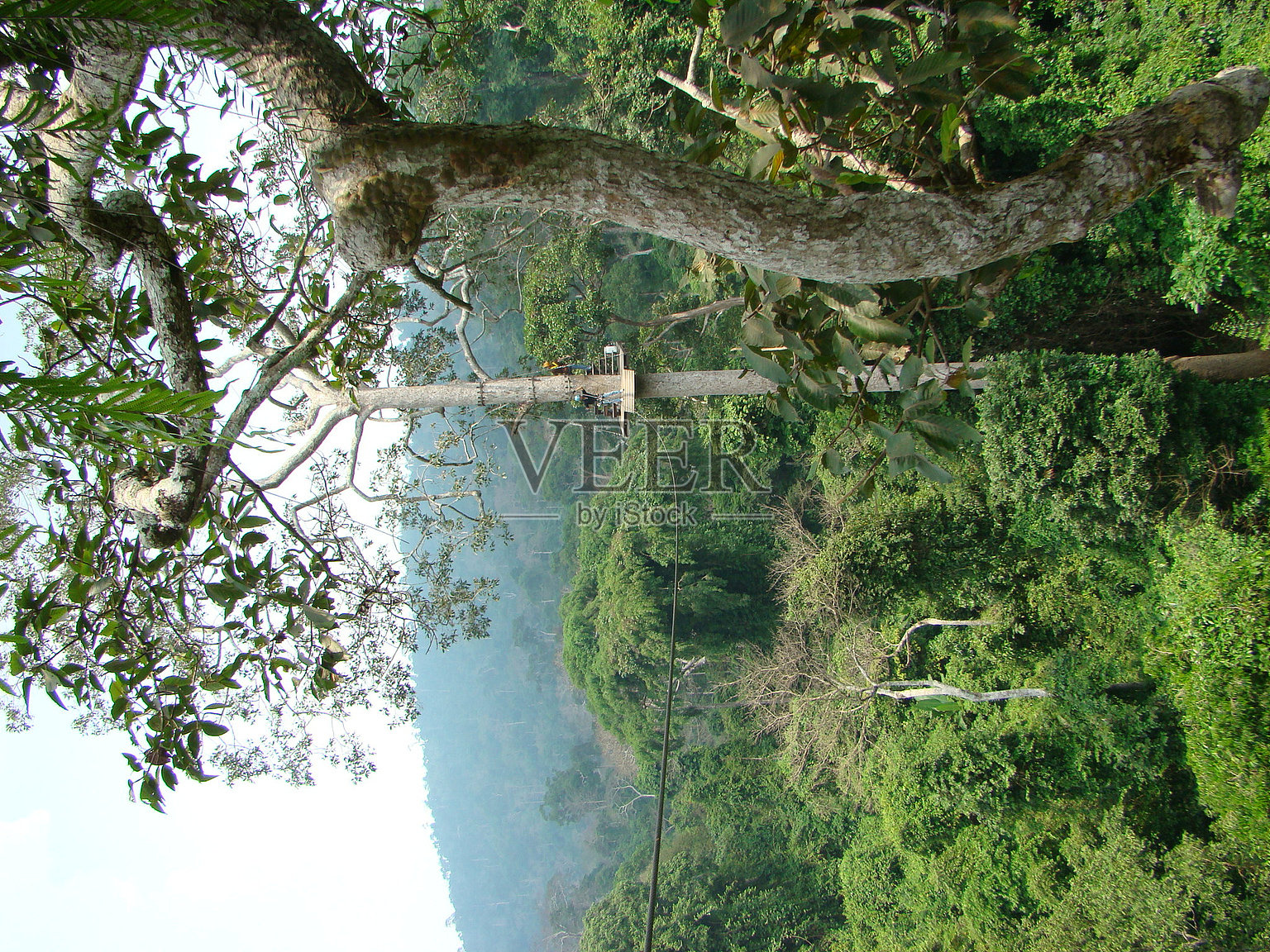 Thailand照片摄影图片