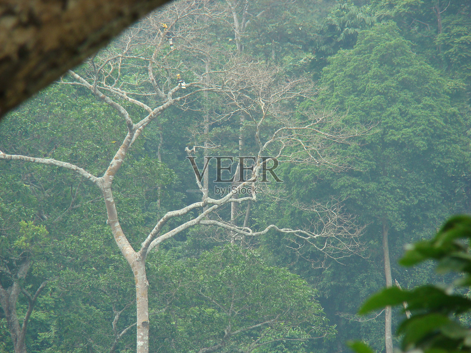 泰国照片摄影图片