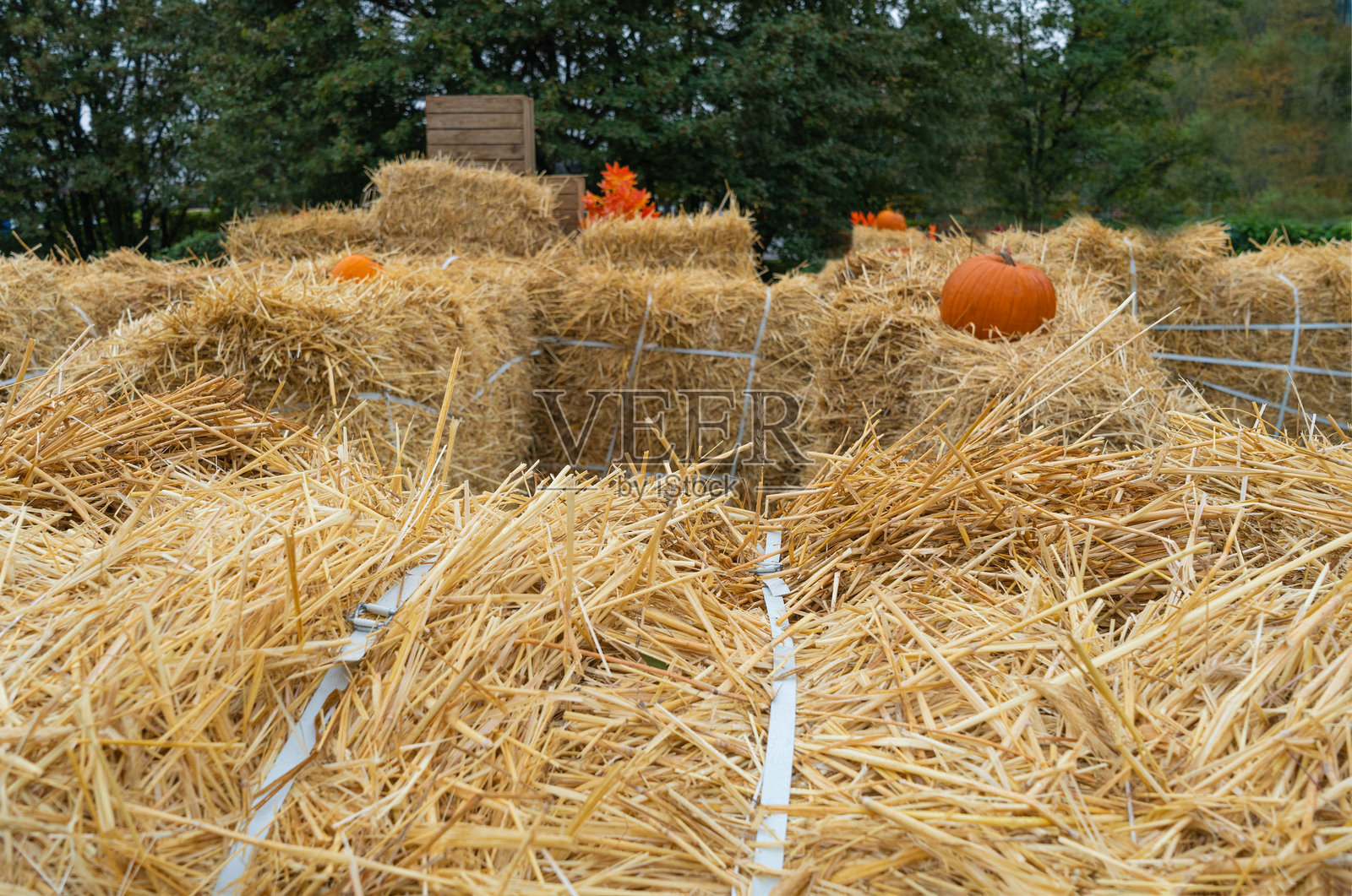 干草纹理背景，稻草图案，干燥的金色草皮样板，干燥的打包干草捆堆叠横幅照片摄影图片