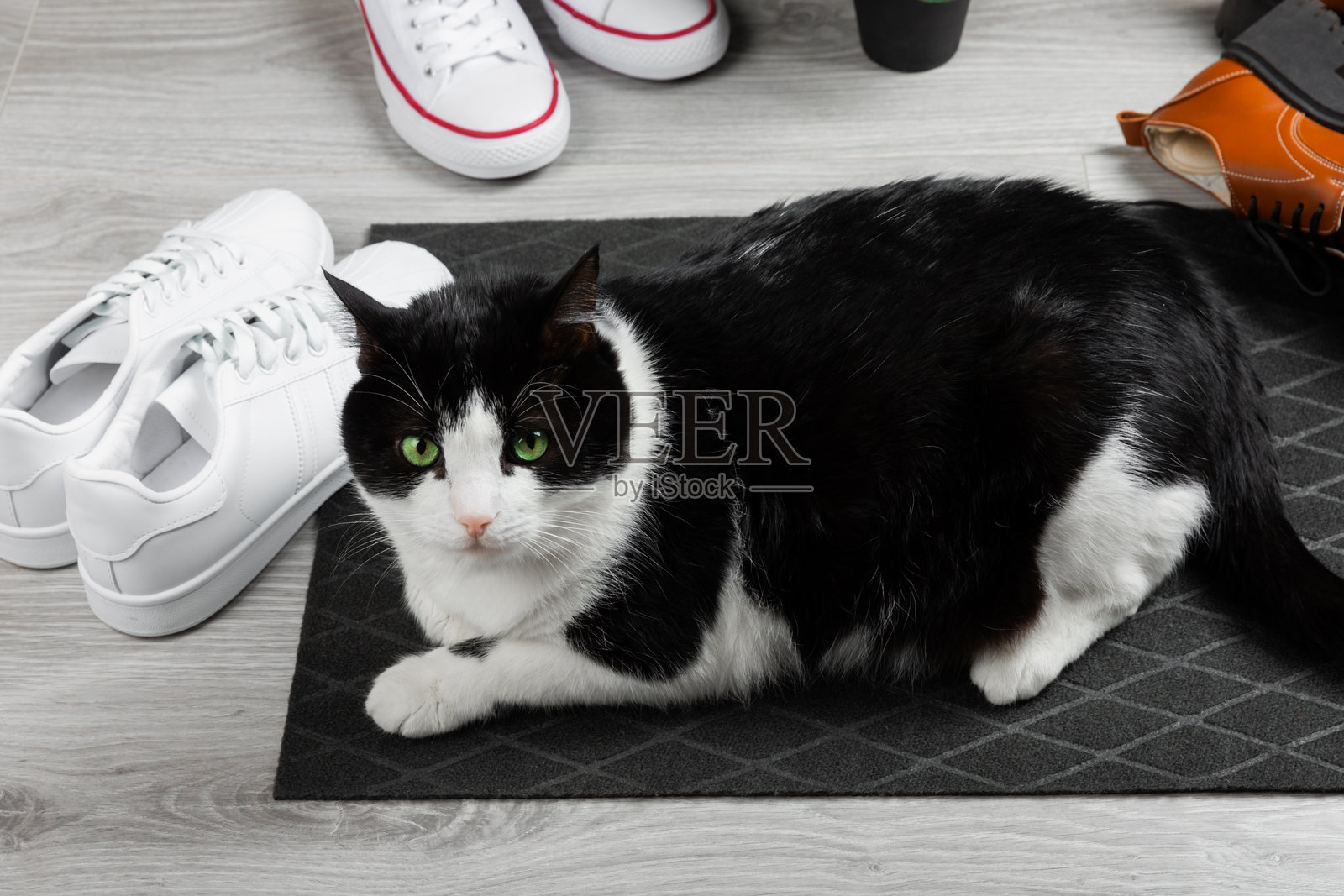 门垫。地板上的欢迎垫。女性鞋子放在门垫上，背景为室内装饰元素。特写。留白空间。走廊门口的地毯。照片摄影图片