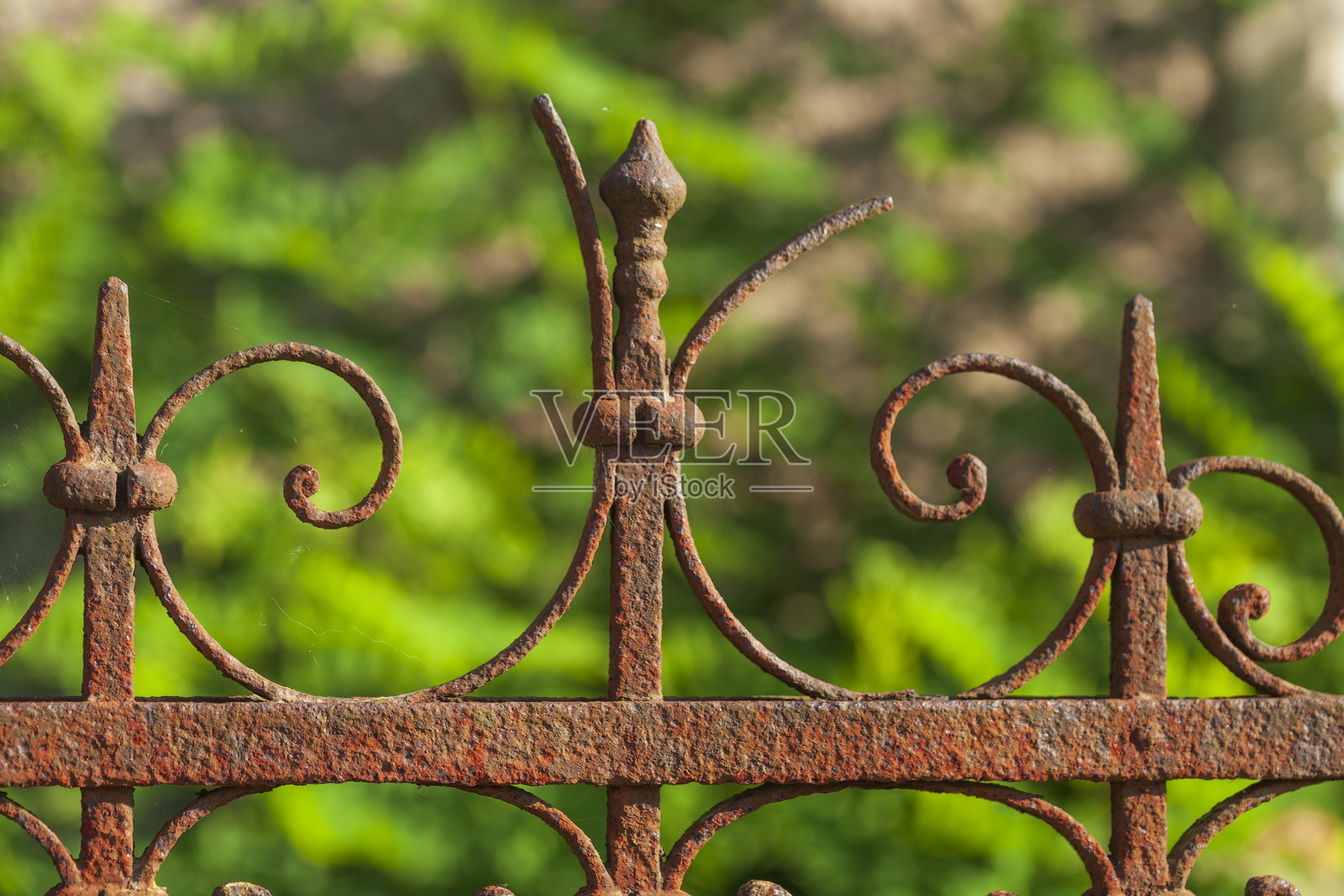 德国古老装饰铸铁花园围栏照片摄影图片