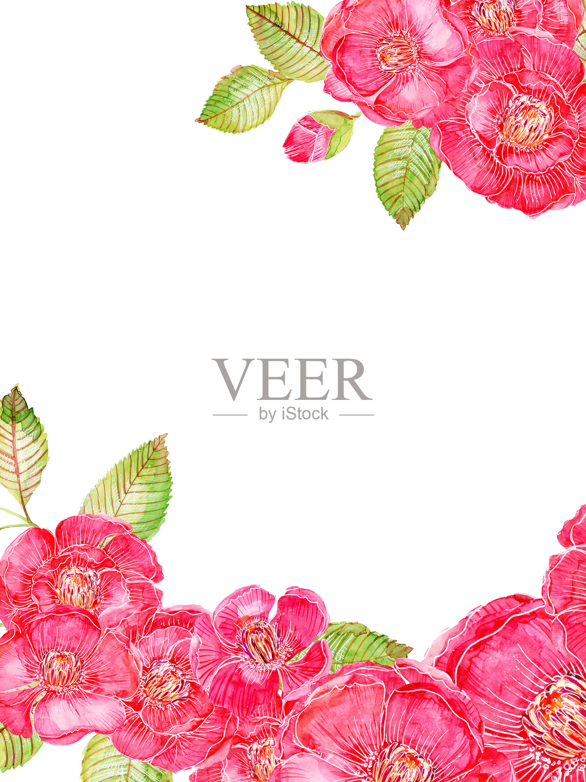 水彩插图 粉色和红色的传统亚洲小花 野花和花园的组合 以及抽象卡片框架边界的手绘排列插画图片素材