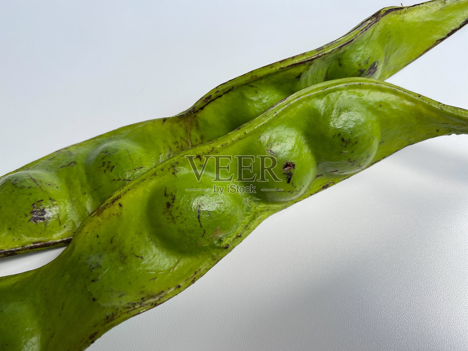 苦豆（Parkia speciosa），孤立在白色背景上照片摄影图片