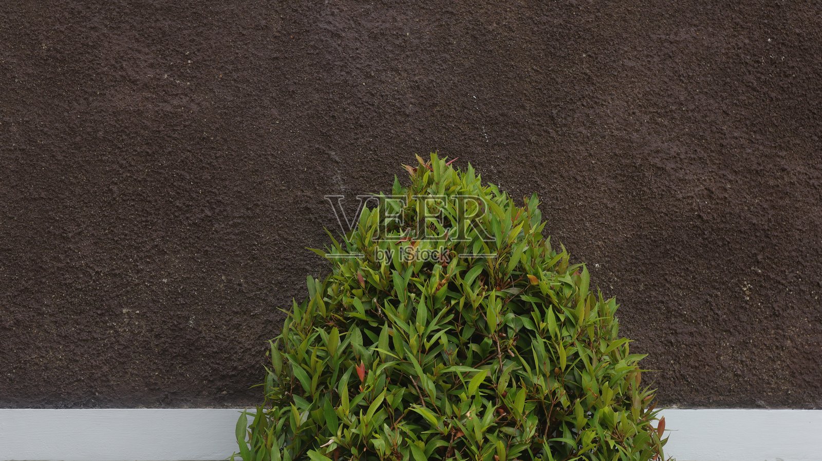 墙壁背景照片摄影图片