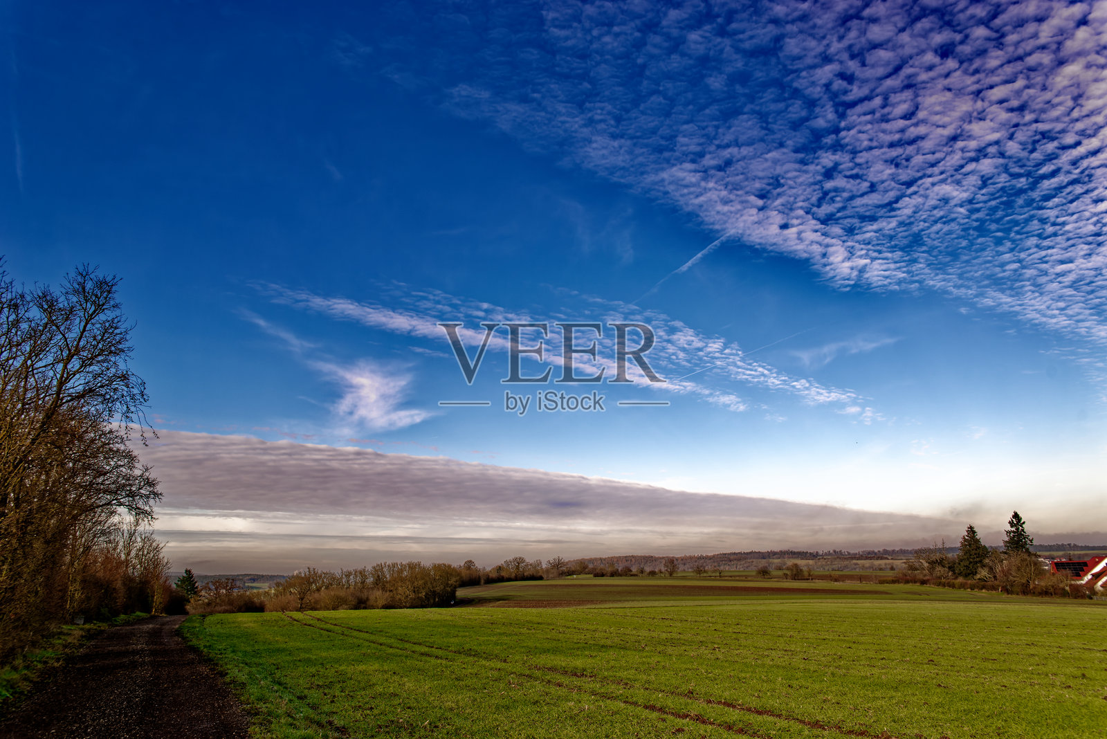 寒冷冬季的阳光明媚早晨照片摄影图片