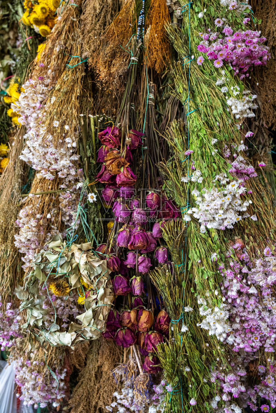 在哥伦比亚麦德林的花卉市场展示的典型哥伦比亚花卉照片摄影图片