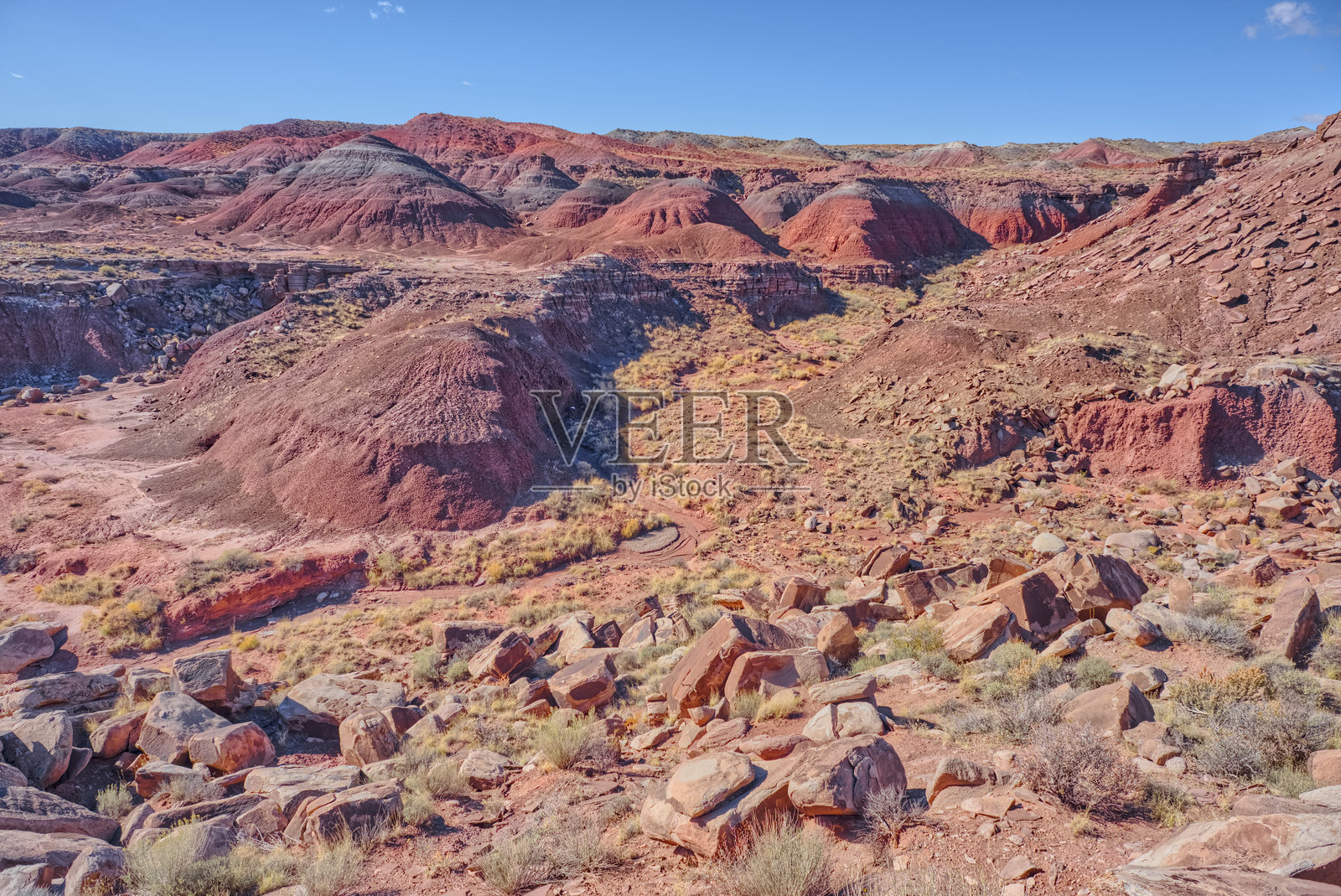 通往亚利桑那州化石森林的死水峡谷照片摄影图片
