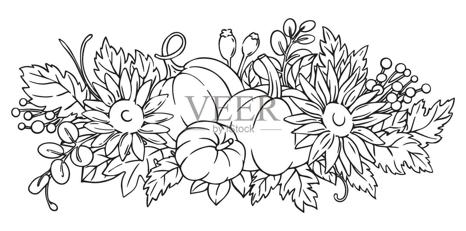 秋季南瓜和向日葵的素描风格组合。感恩节装饰，涂色书。插画图片素材