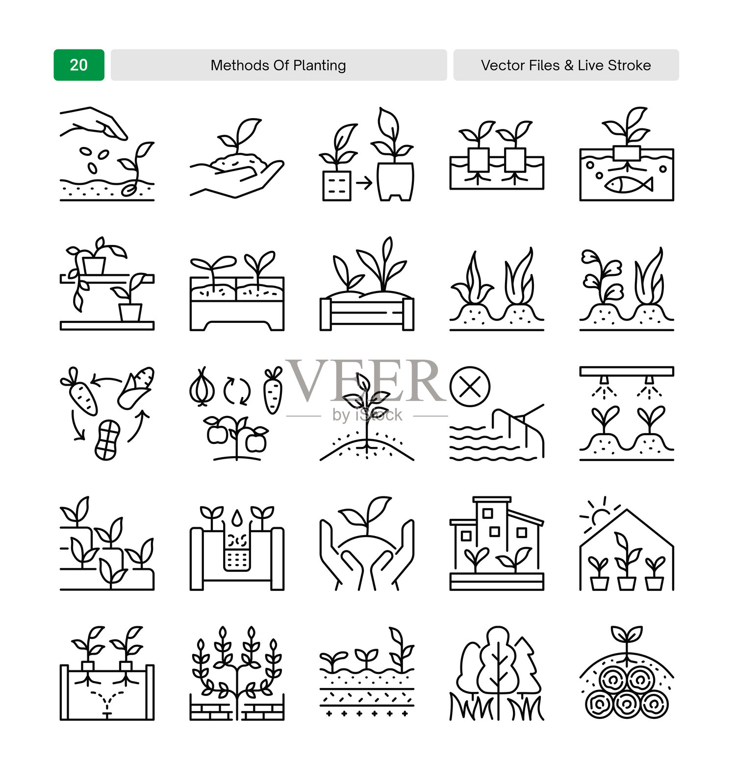植物种植方法图标集合插画图片素材