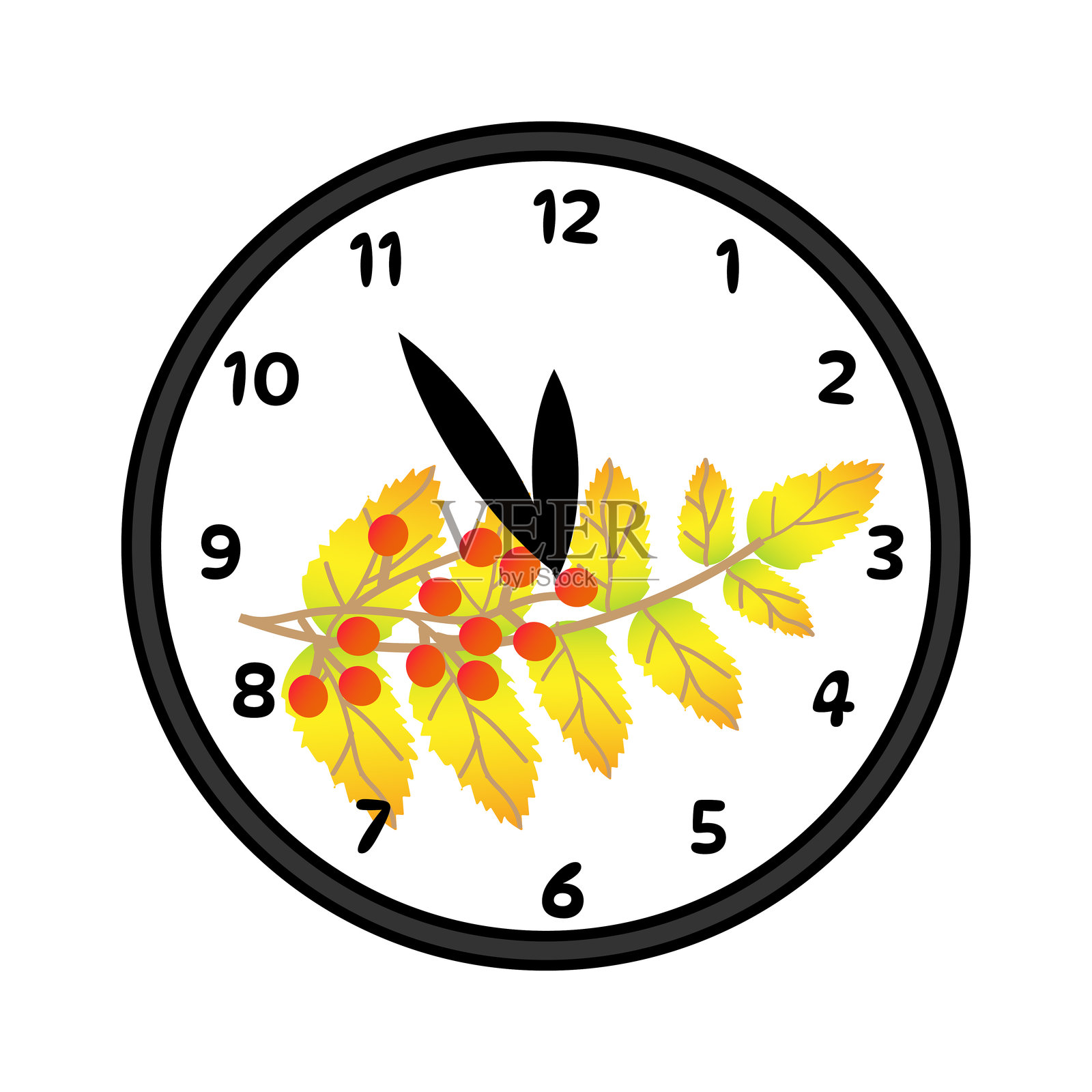 白色背景上的时钟，表盘上有 Rowan 树枝。矢量插图。插画图片素材