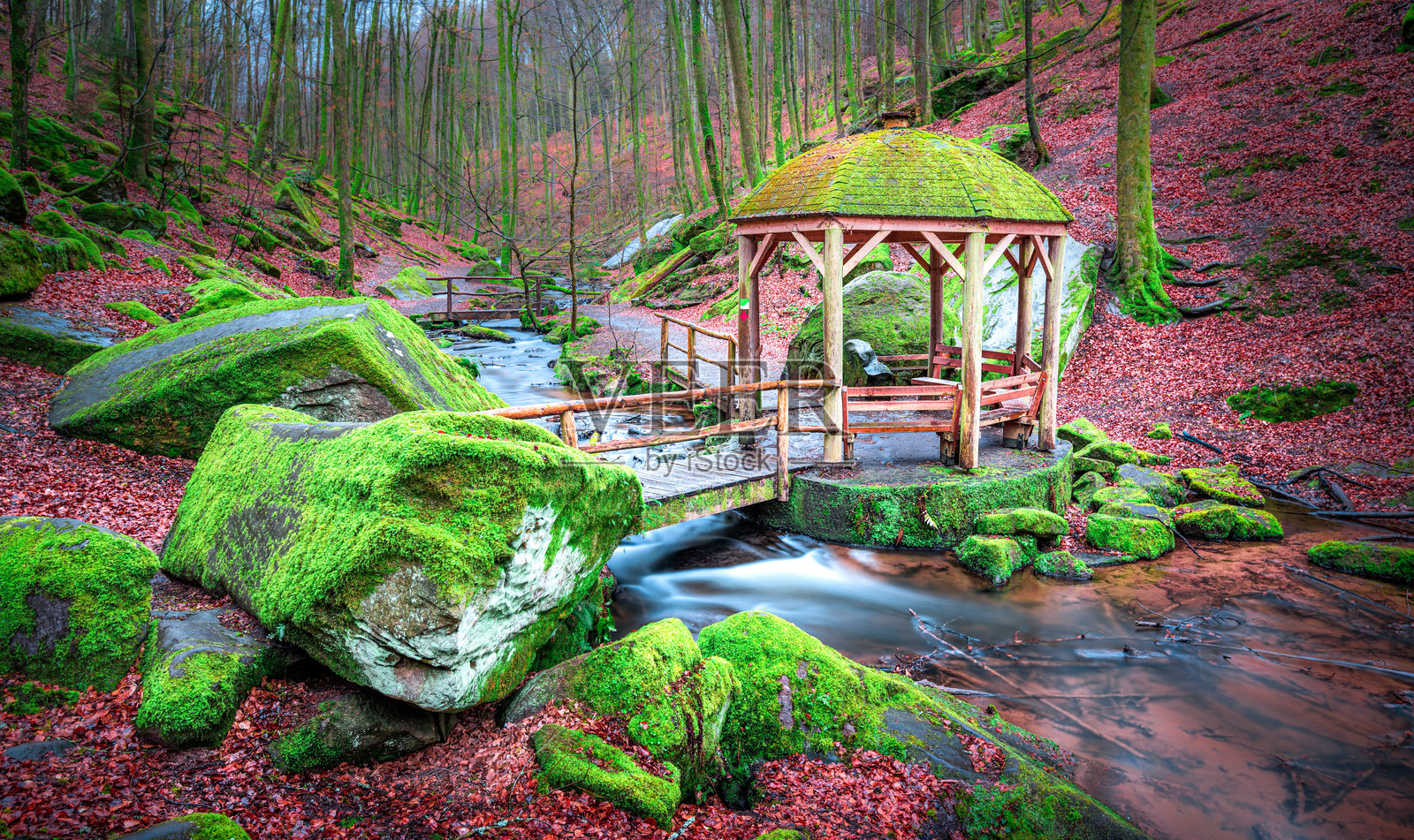 宁静的森林场景，溪边有一个覆盖着苔藓的凉亭照片摄影图片
