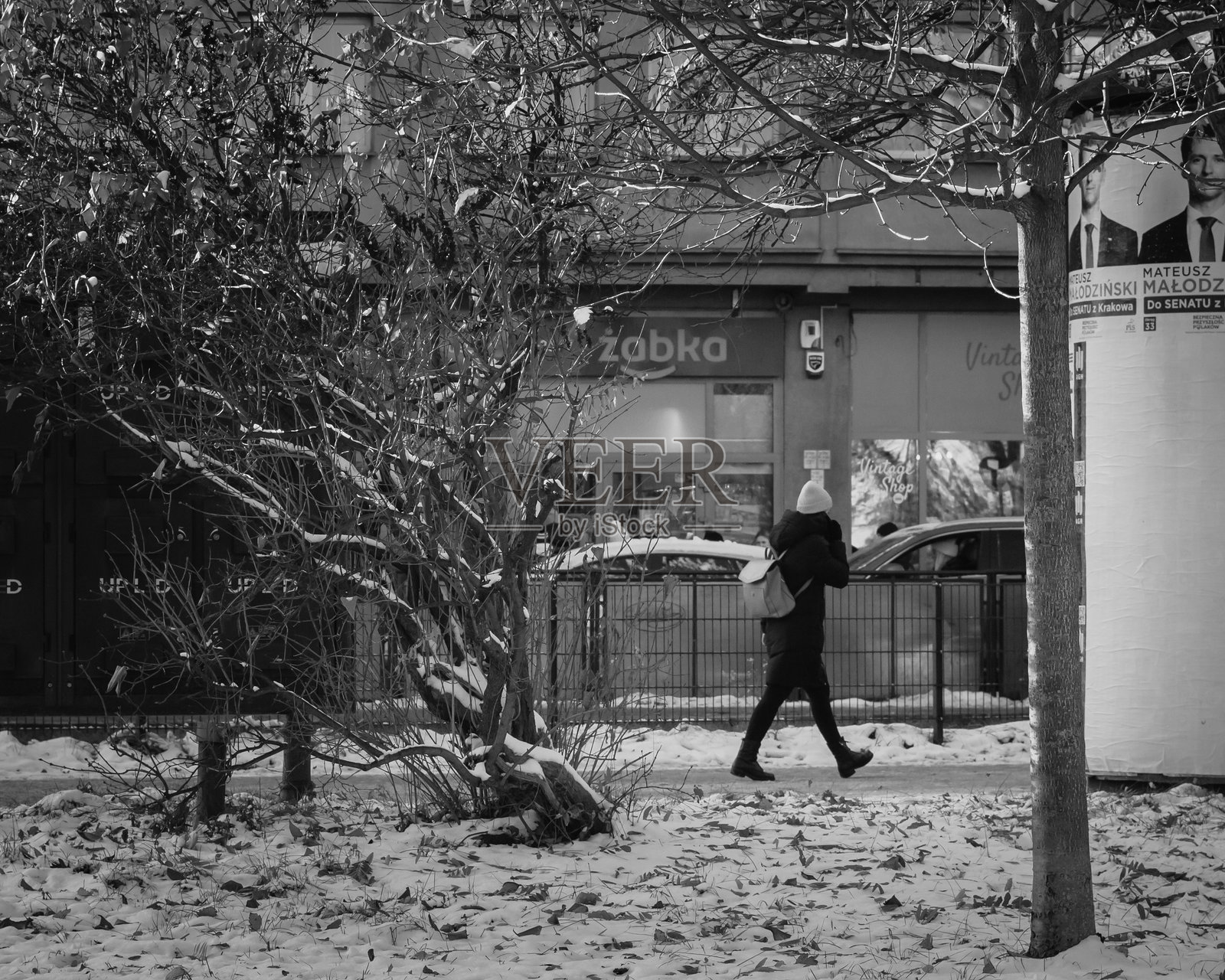 克拉科夫的冬季魅力:雪覆盖的公园和小径。照片摄影图片