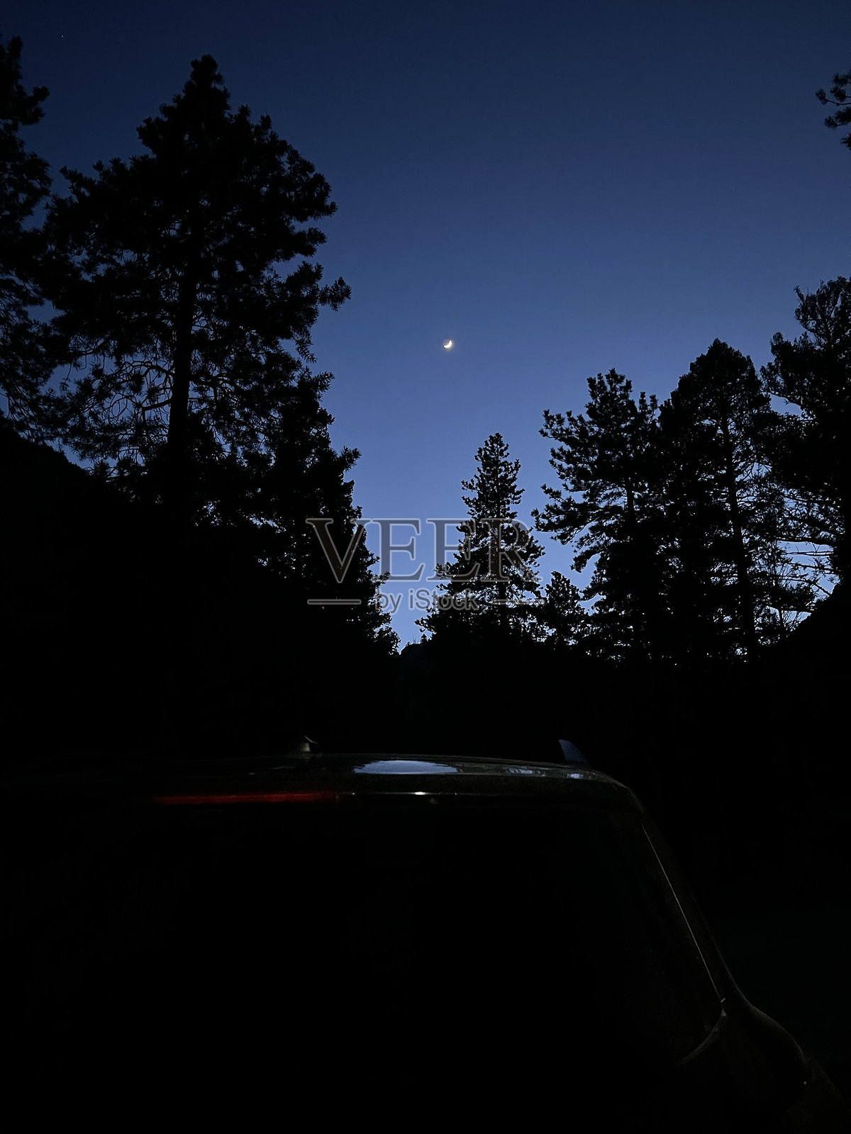 在俄勒冈州露营时，松树剪影下的黄昏星空照片摄影图片