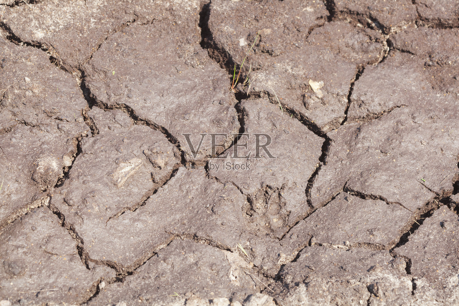 干裂的土地，干旱，干燥，气候变化，德国照片摄影图片