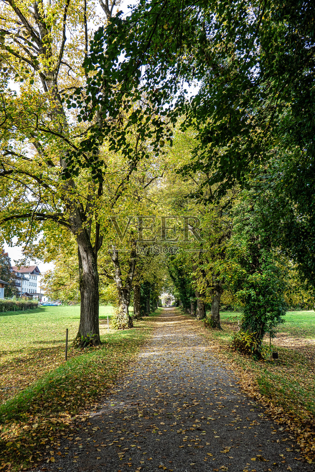 德国上巴伐利亚州斯塔恩贝格湖的贝尔尼德公园秋季景色照片摄影图片