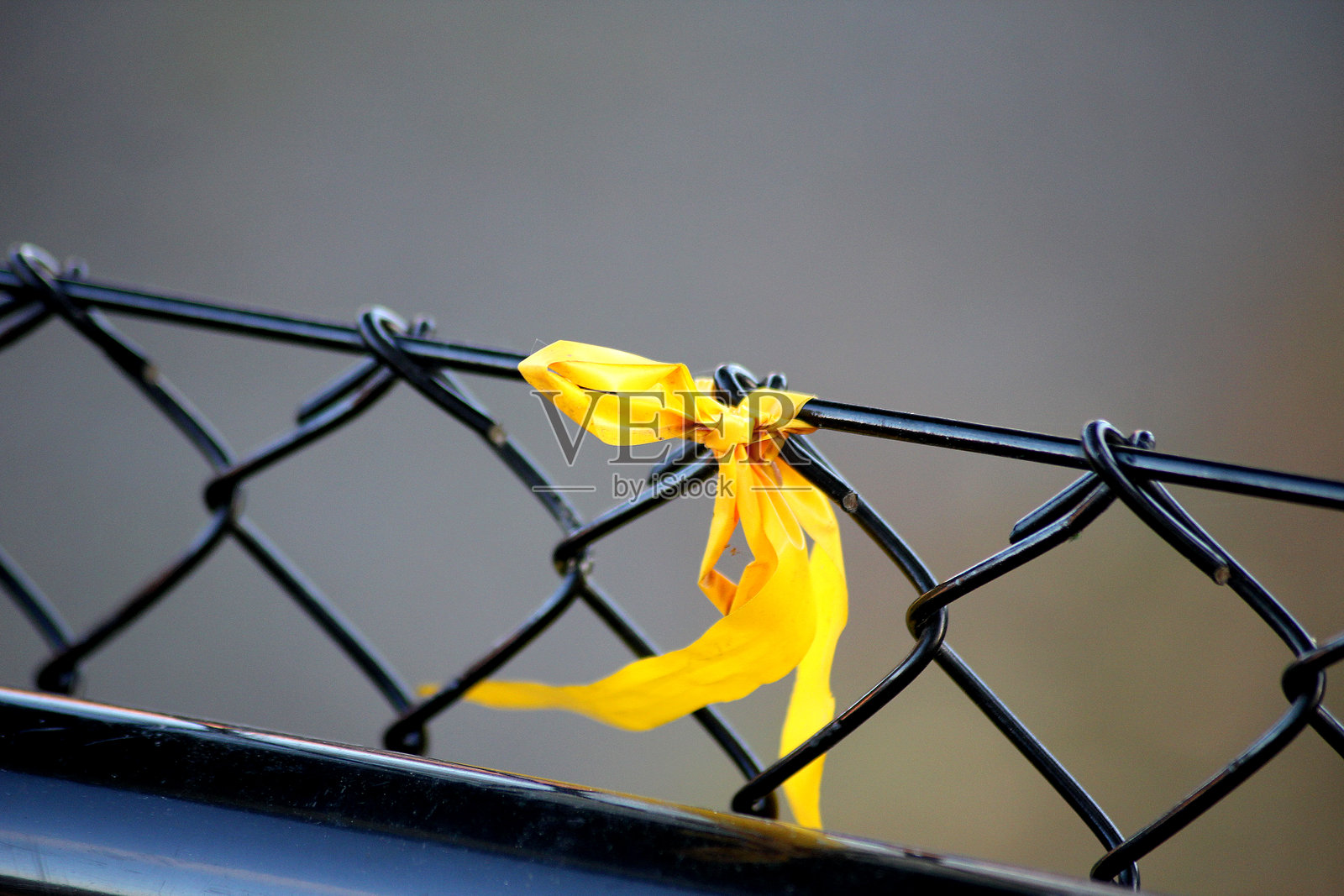 金属围栏上的黄色丝带照片摄影图片