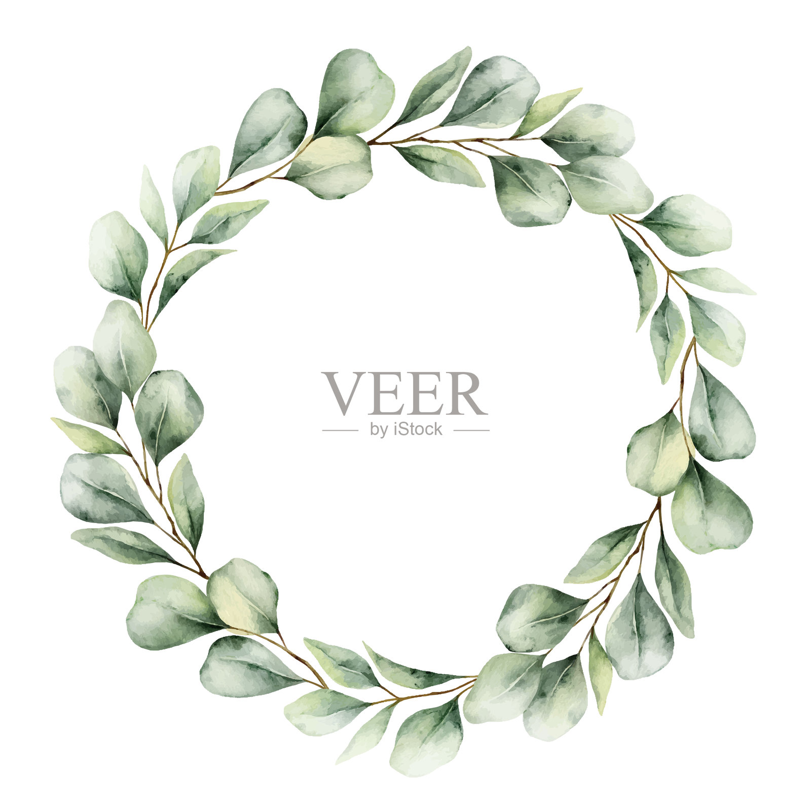 水彩矢量花环，带有绿色桉树叶和枝条。适用于婚礼邀请、贺卡、保存日期和文具设计的绿植剪贴画。手绘插图。插画图片素材