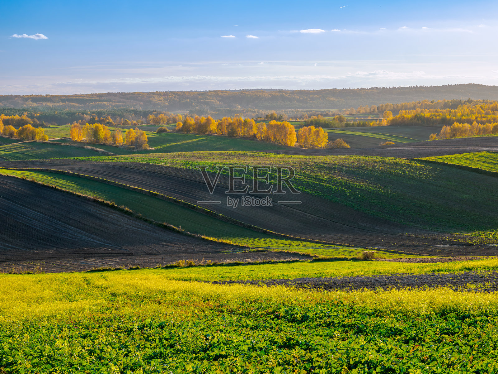 秋季农业风光。照片摄影图片