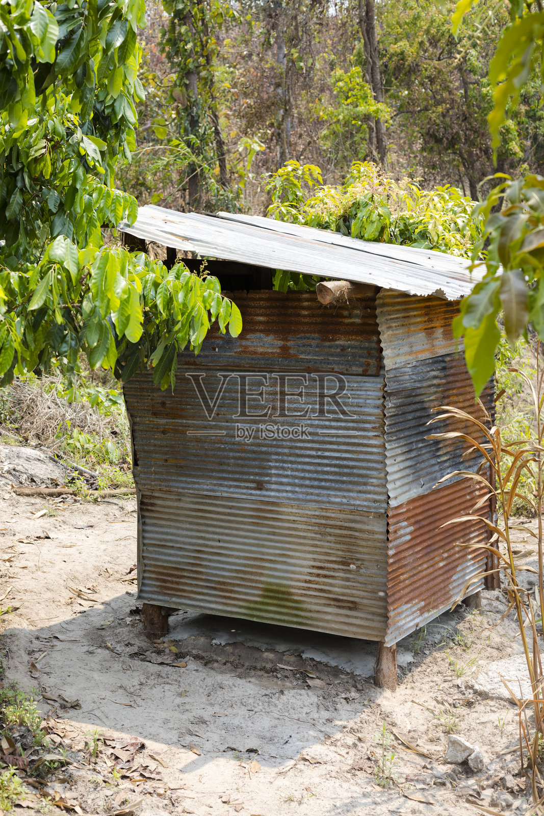清迈省森林地区的简单户外厕所棚。照片摄影图片